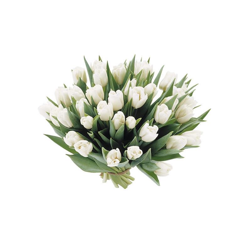 Tulpen boeket wit