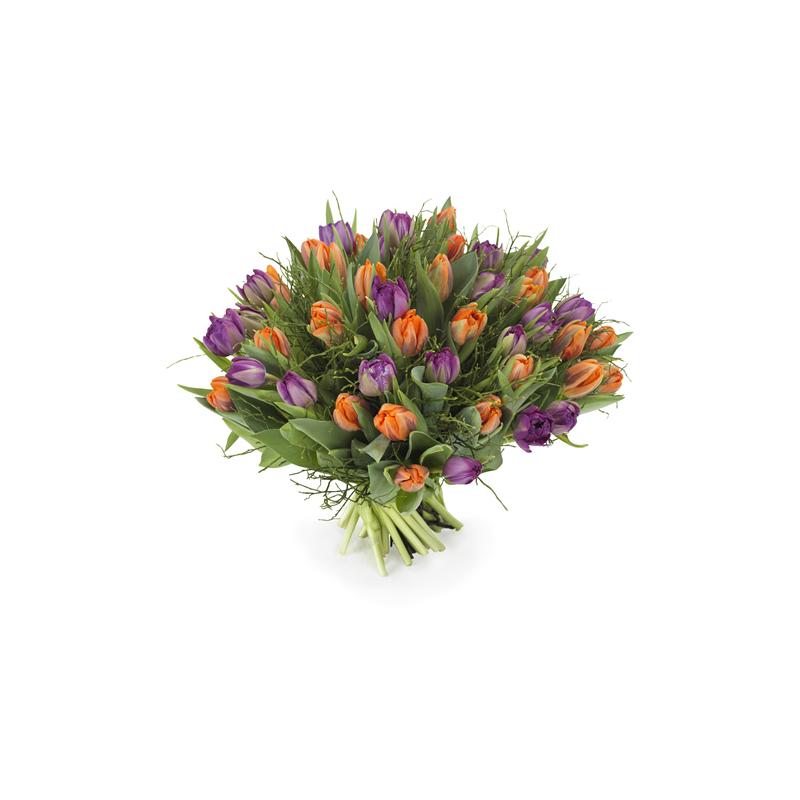 Tulpen oranje - paars