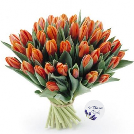 Tulpen boeket oranje